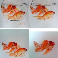 Goldfish in fishbowl