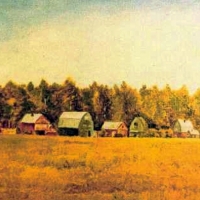 Среди полей. Дачи 1 / Among the Fields. Dachas 1