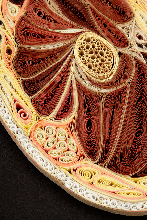 Lisa-Nilsson-quilling-anatomy-7.jpg