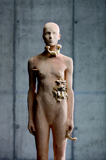 the-tainted-sculptures-aron-demetz-4.jpg